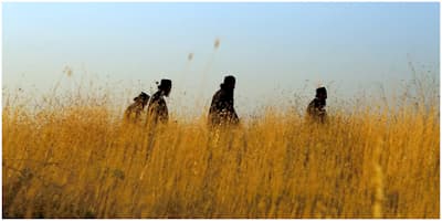 The Patriarch's Room trailer edited by Geoff Klein, directed by Danae Elon